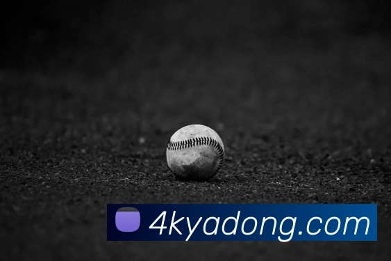 扫码下载 App